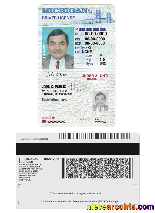USA Michigan driving license